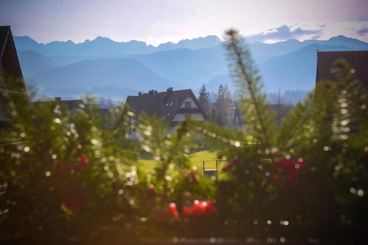 Rentplanet - Willa Szafran Zakopane Dış mekan fotoğraf